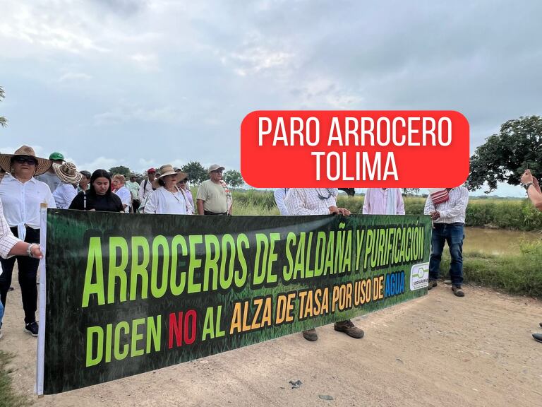 Movilización arrocera en Saldaña, Tolima