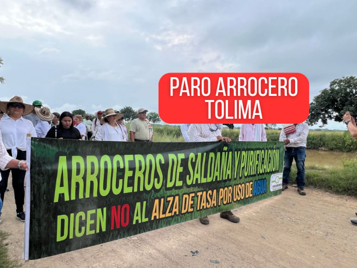 El Paro Arrocero en el Tolima continúa: en su 4° día, los cultivadores exigen soluciones urgentes