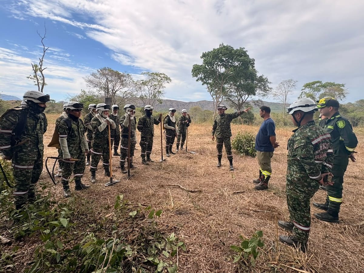 Alerta en el Tolima: incendios forestales han consumido más de 900 hectáreas