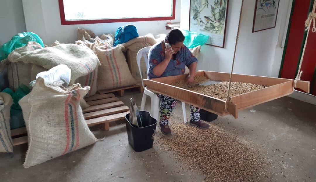 Día Internacional del Café, foto de la finca El Ocaso en Salento, Quindío