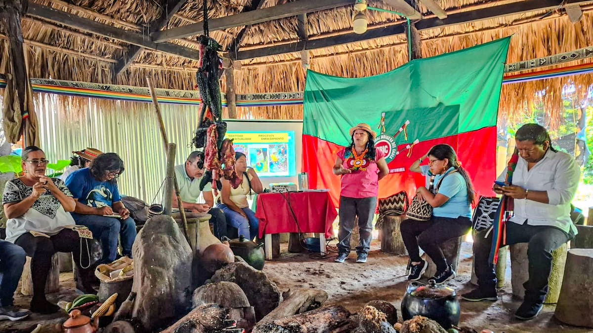 ANT desmiente entrega de nuevos títulos de tierra en Cauca: ¿qué pasó con el resguardo Pitayó?