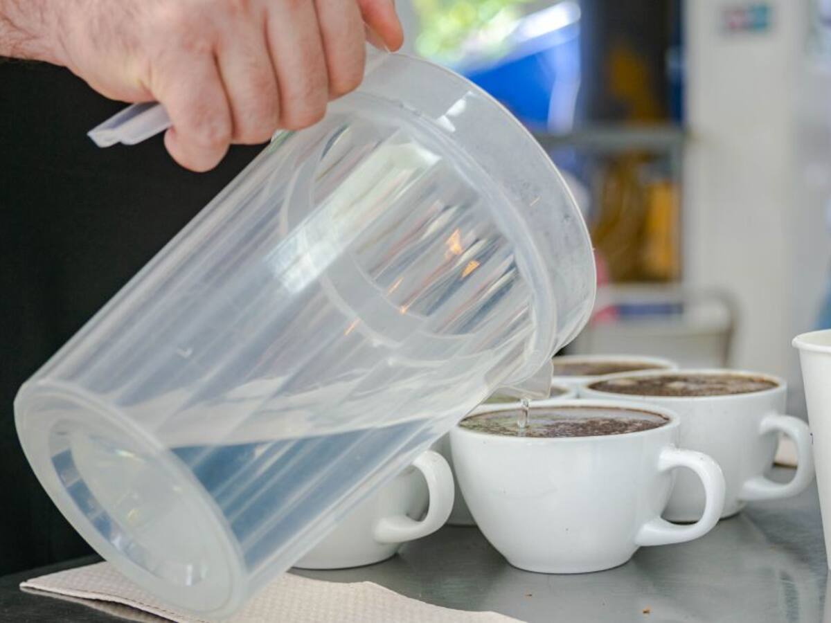 Producción de café en septiembre registró un crecimiento del 22%