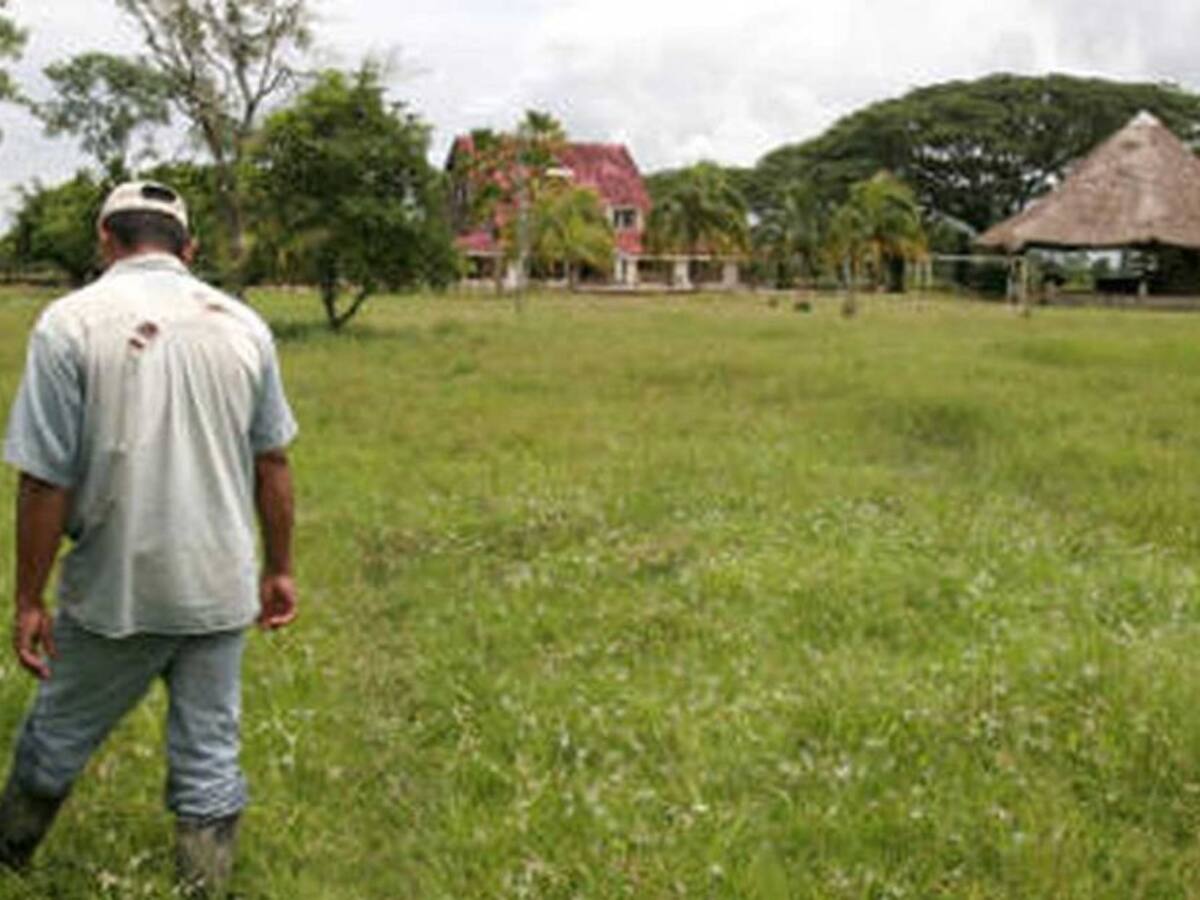 Jóvenes campesinos en el Huila buscan nuevas alternativas de vida