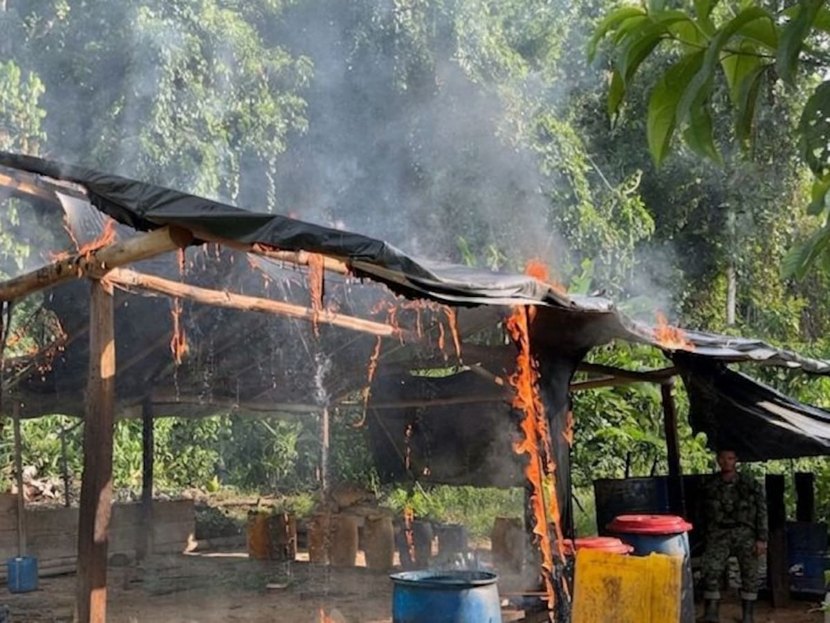 Ejército destruyó seis laboratorios para el procesamiento de coca en el sur de Córdoba
