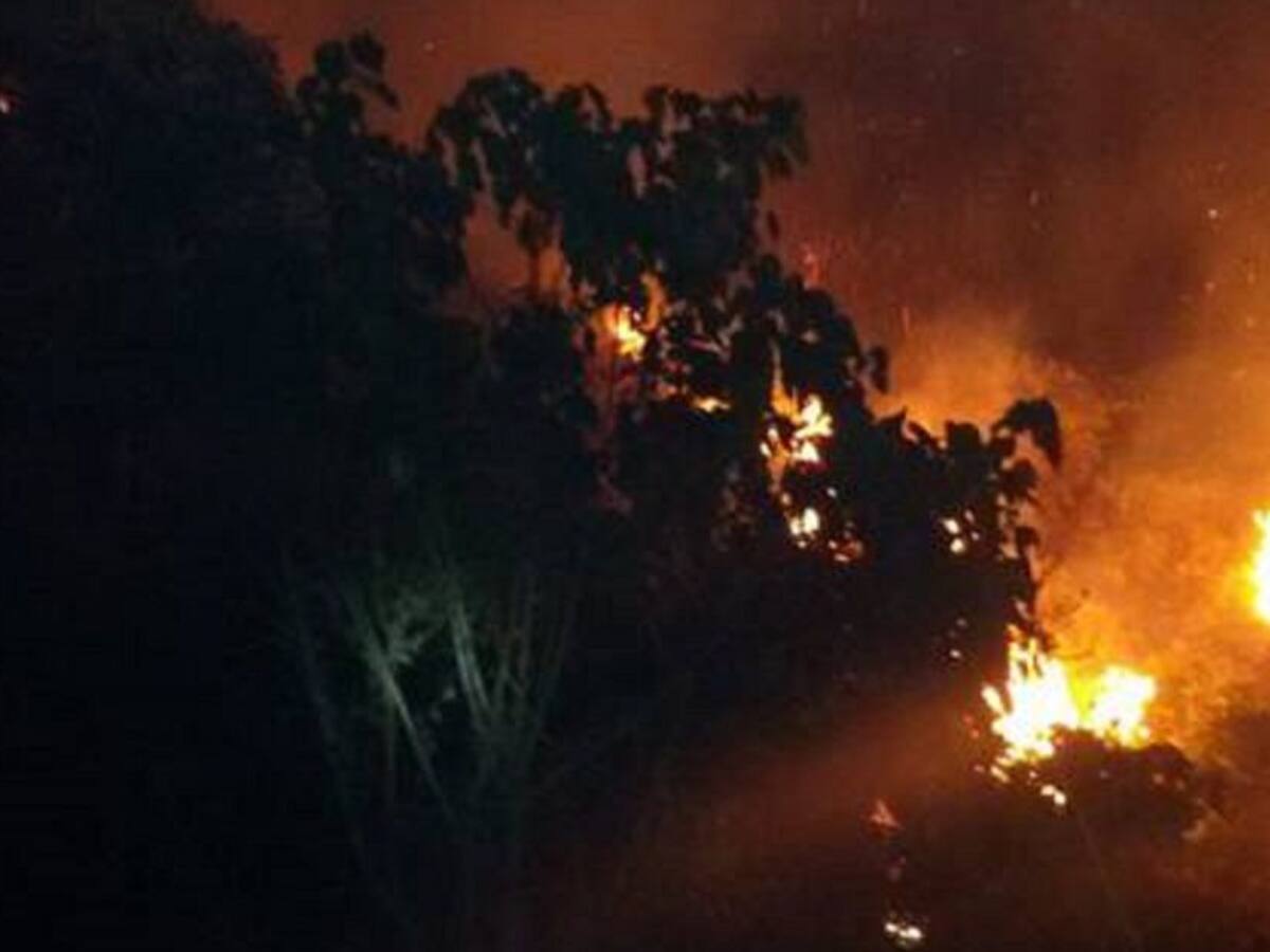21 incendios de cobertura vegetal se han presentado en el Quindío