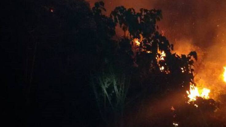 Director Udegerd, César Jaramillo