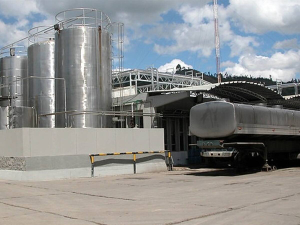 El Gobierno explicó cómo se estabilizará la comercialización de la leche en Colombia