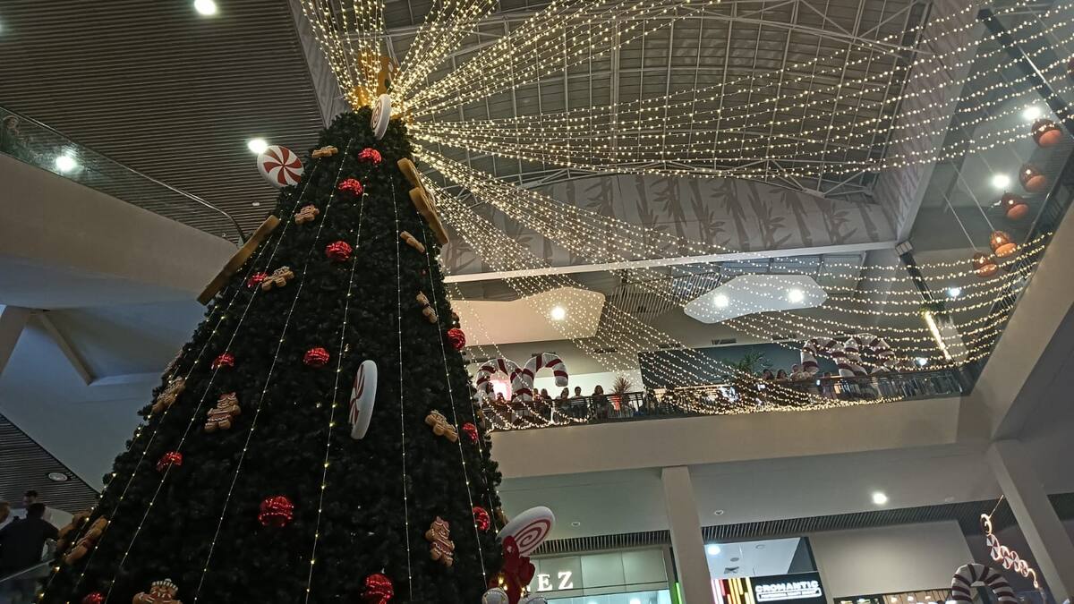 Miércoles 3 de diciembre, las noticias más importantes de Armenia y Quindío