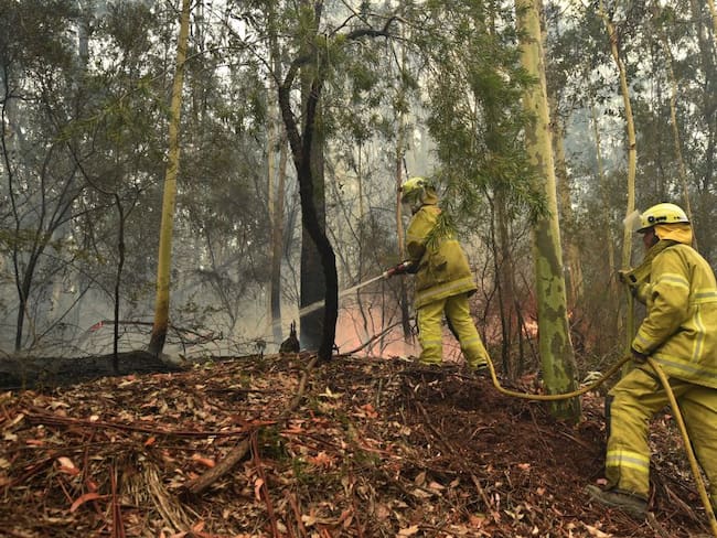 Nuevo aumento de temperatura pone en alerta a bomberos en Australia