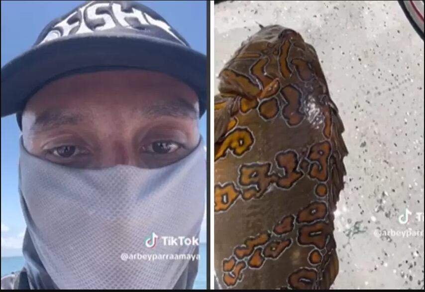 Captura de pantalla TikTok pescando por Colombia