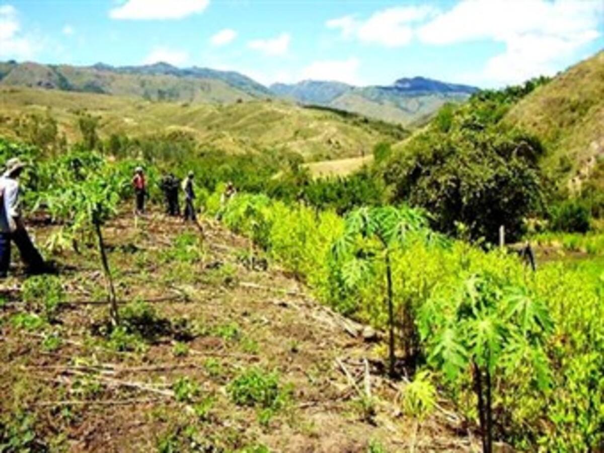 Colombia sigue siendo el mayor proveedor de cocaína para el mercado de EEUU