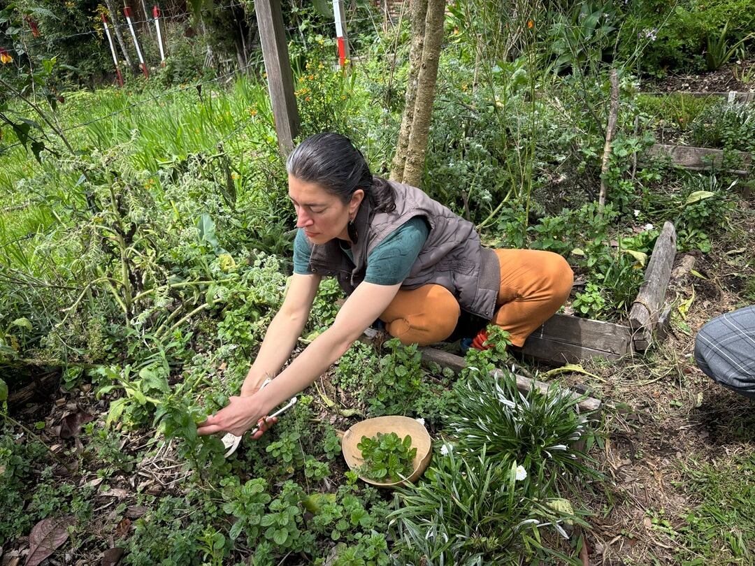 Foto: Alcaldía de Medellín