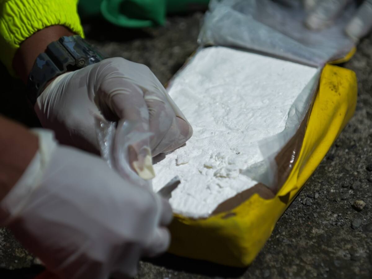 Nariño sigue en calvario por violencia producida por narcotráfico