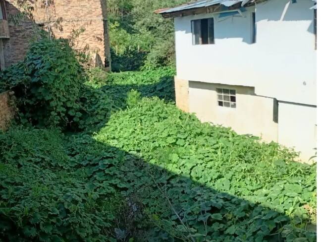 Viviendas afectadas.