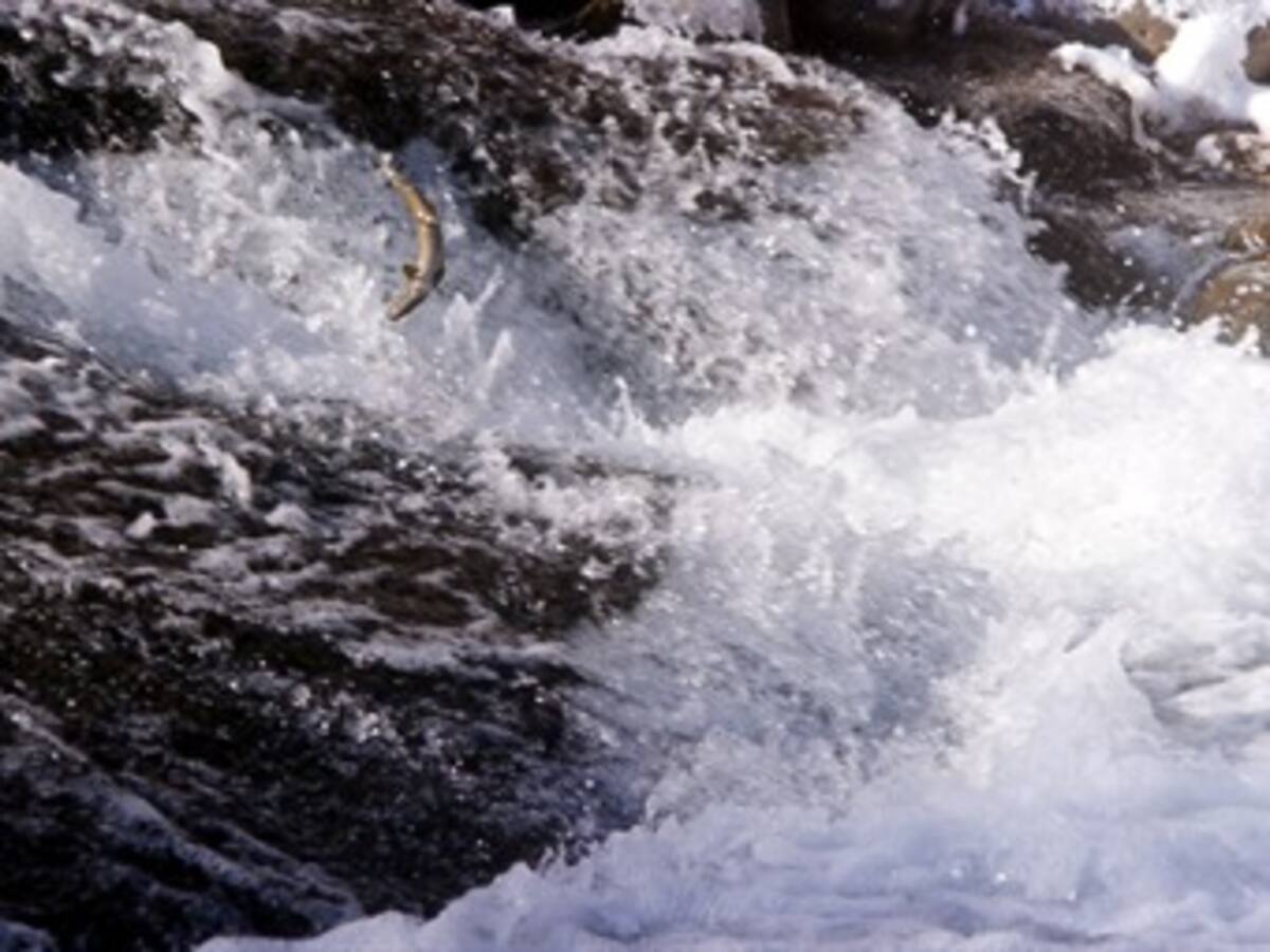 Aguas y Aguas de Pereira seleccionada para manejo de acueductos de Chocó