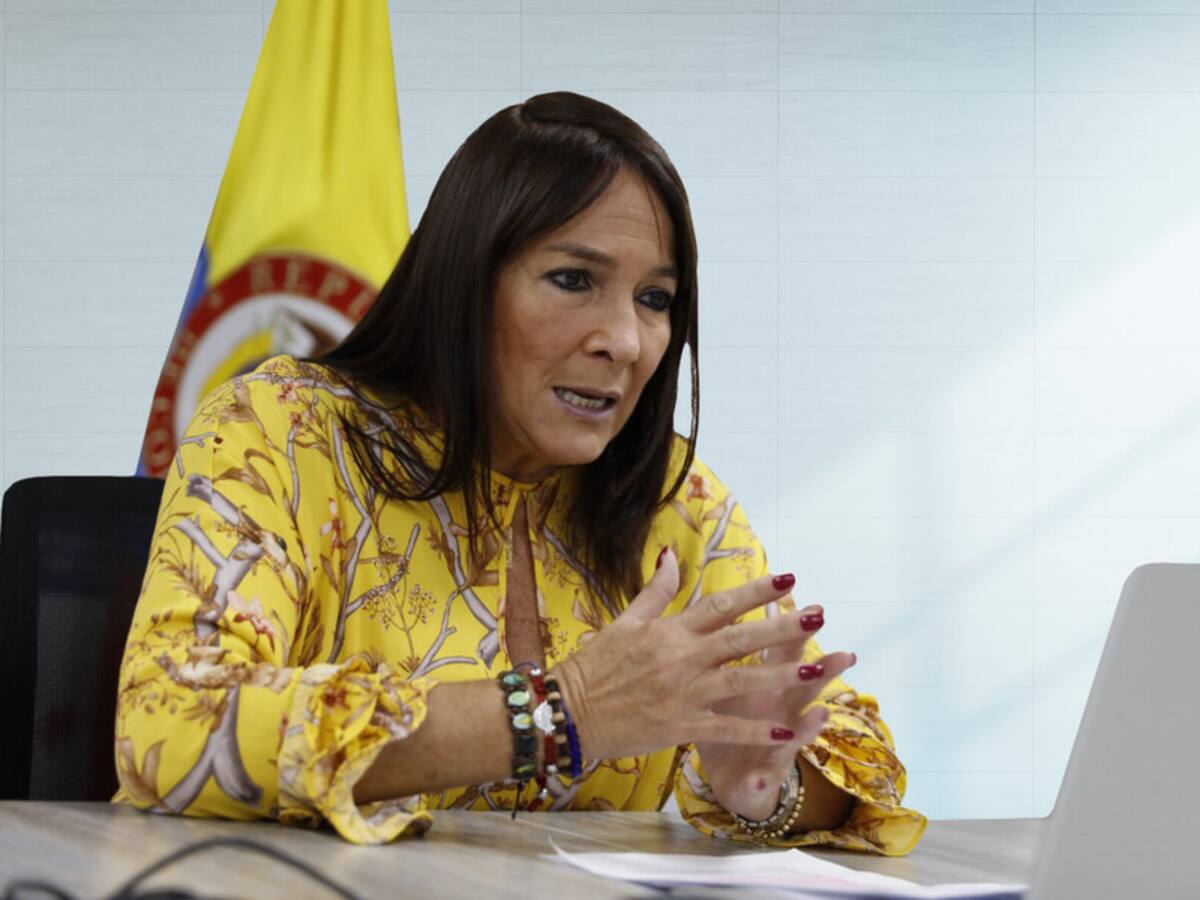 Susana Correa: “330 casas de Providencia costaron más de $600 millones”