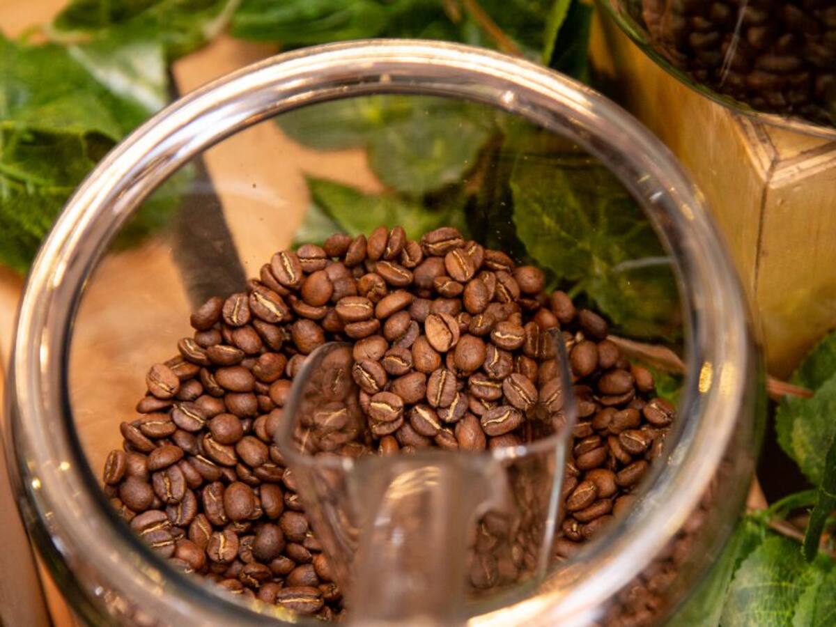 Más de 1700 emprendedores vallecaucanos recibirán formación empresarial