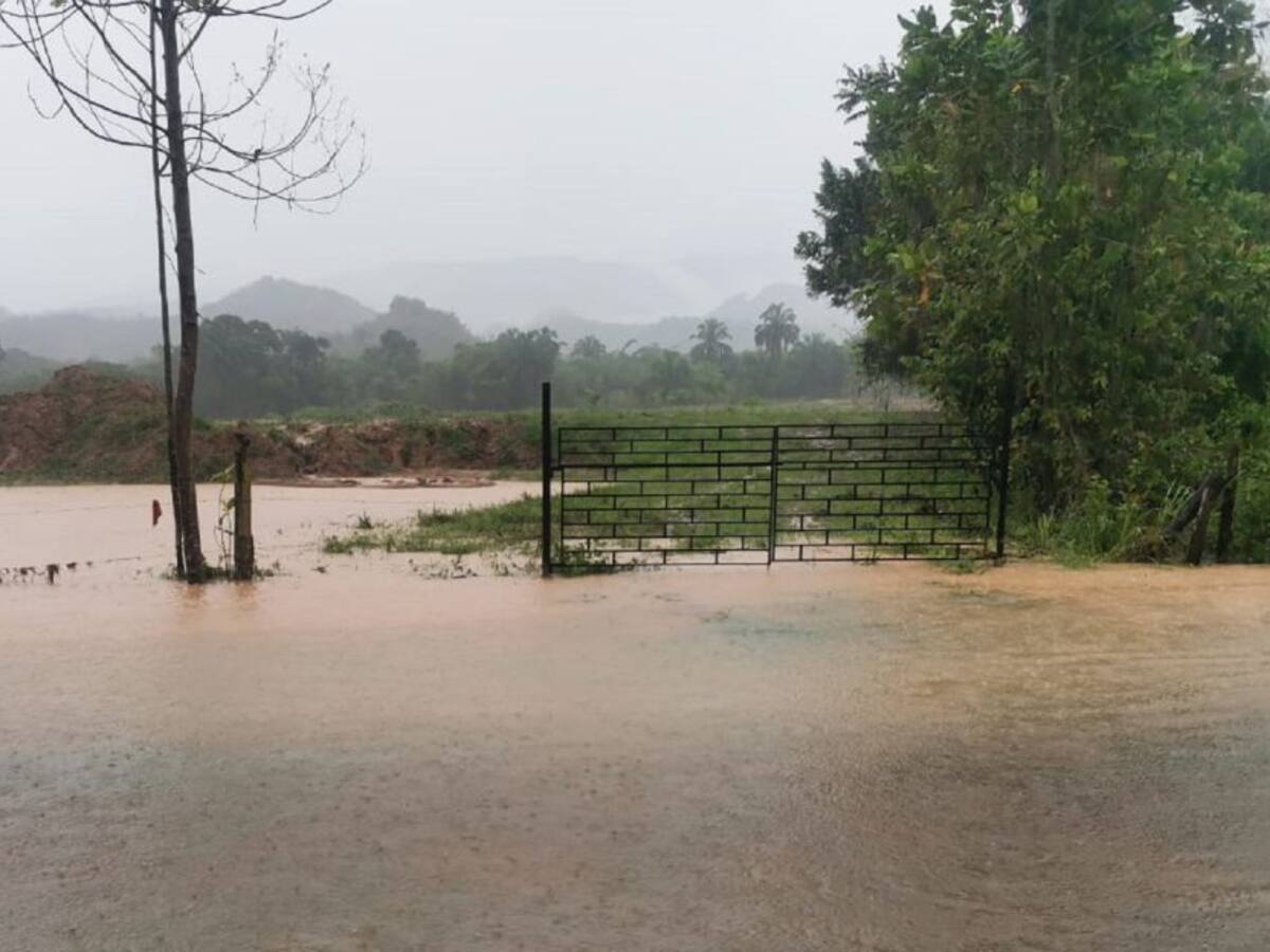Desbordamiento de quebradas originaron emergencias en Carmen de Apicalá