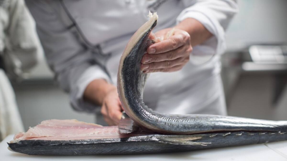 Festival del pescado en la Nueva Sexta