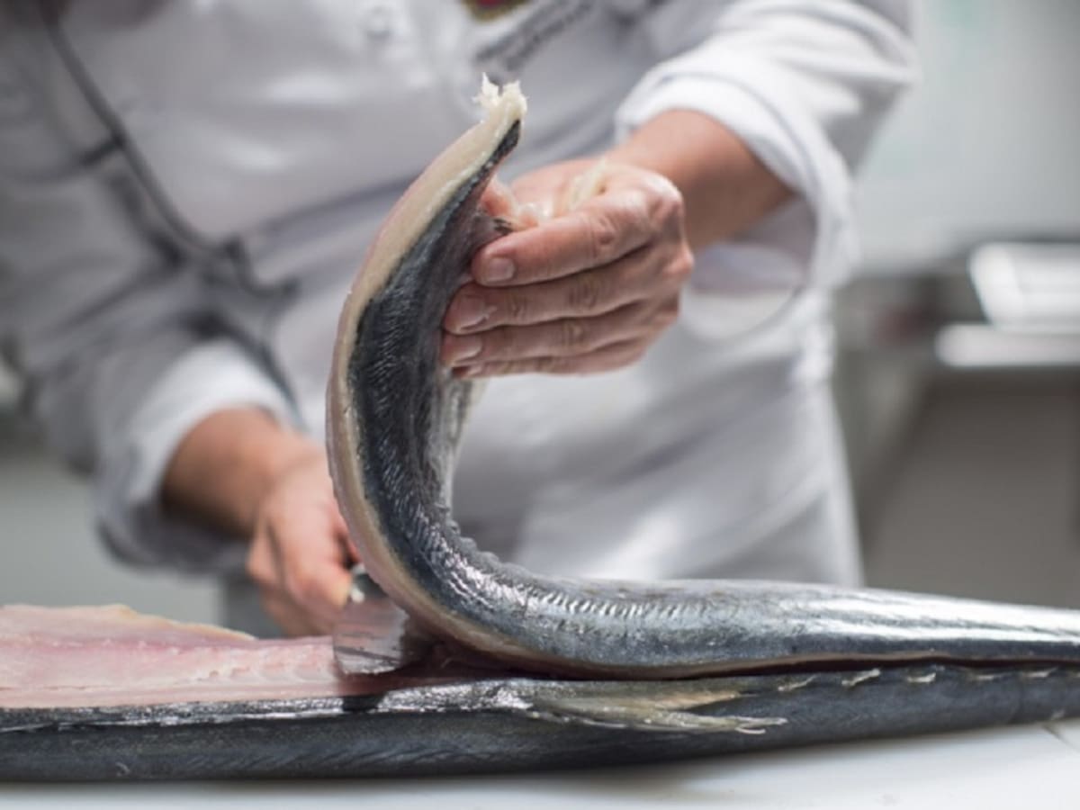 Festival del pescado en la Nueva Sexta
