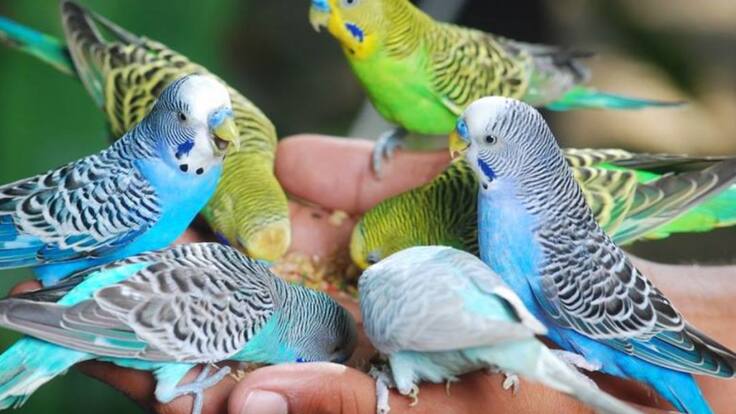 Zoológico de Barranquilla abrió nuevamente sus puertas