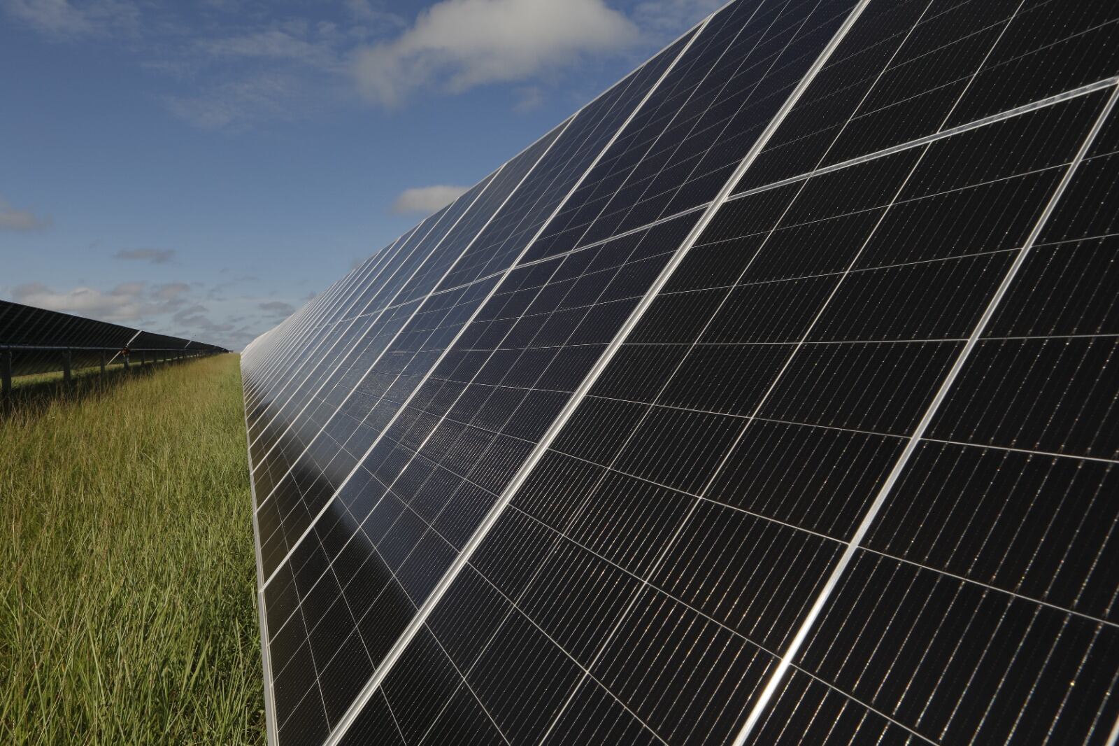 Foto: Autoridad Nacional de Licencias Ambientales.