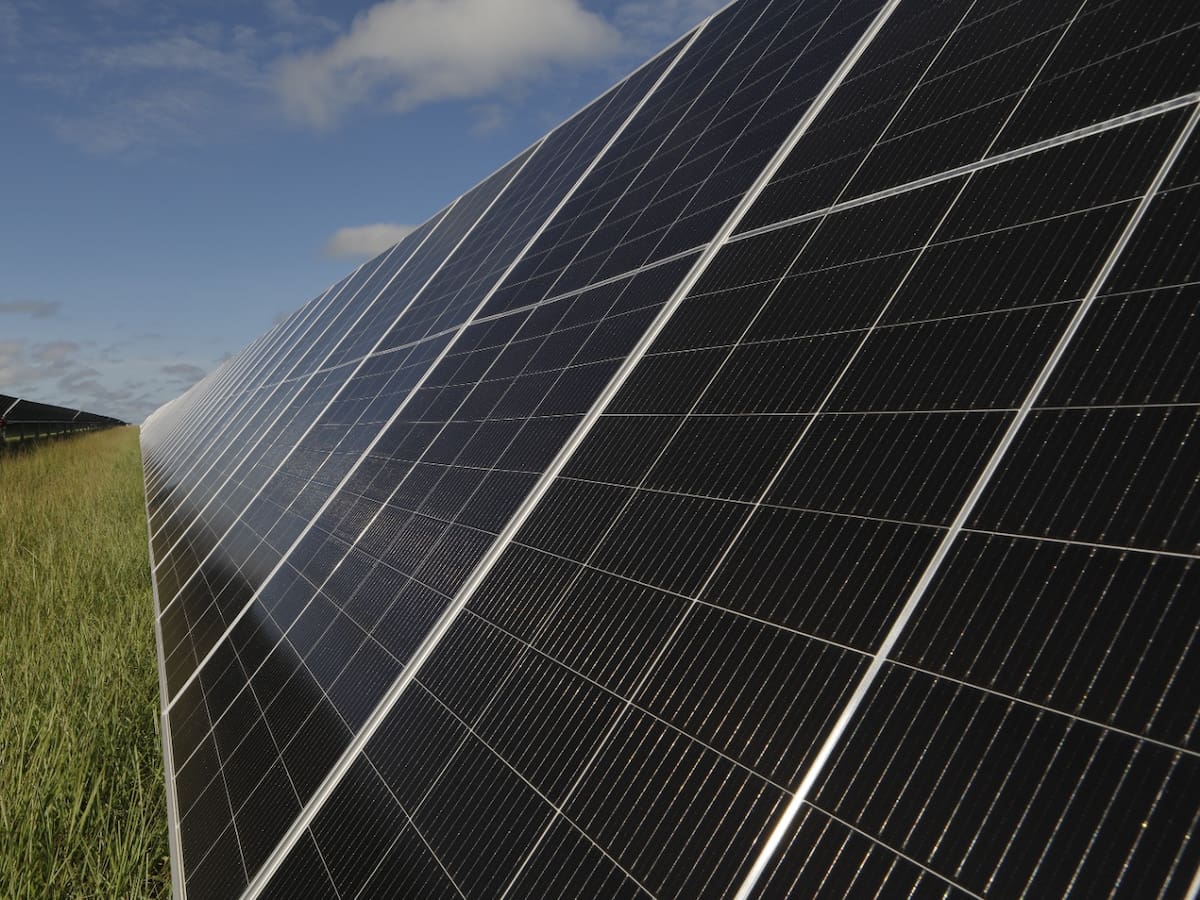 Otorgan licencia ambiental para construir un parque solar entre Balboa y La Virginia