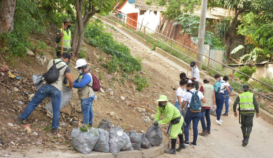La zona ahora se alista para el desarrollo de jornadas de siembras de árboles
