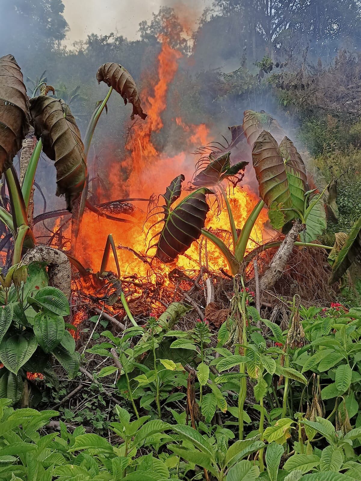 Crédito: Suministrada.