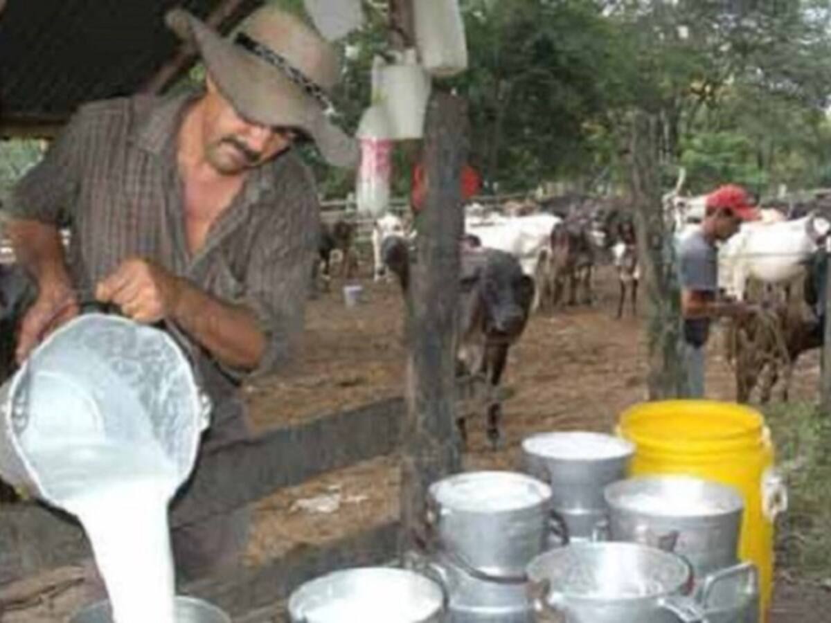 Lecheros de Palmira estarían siendo extorsionados por disidentes Farc