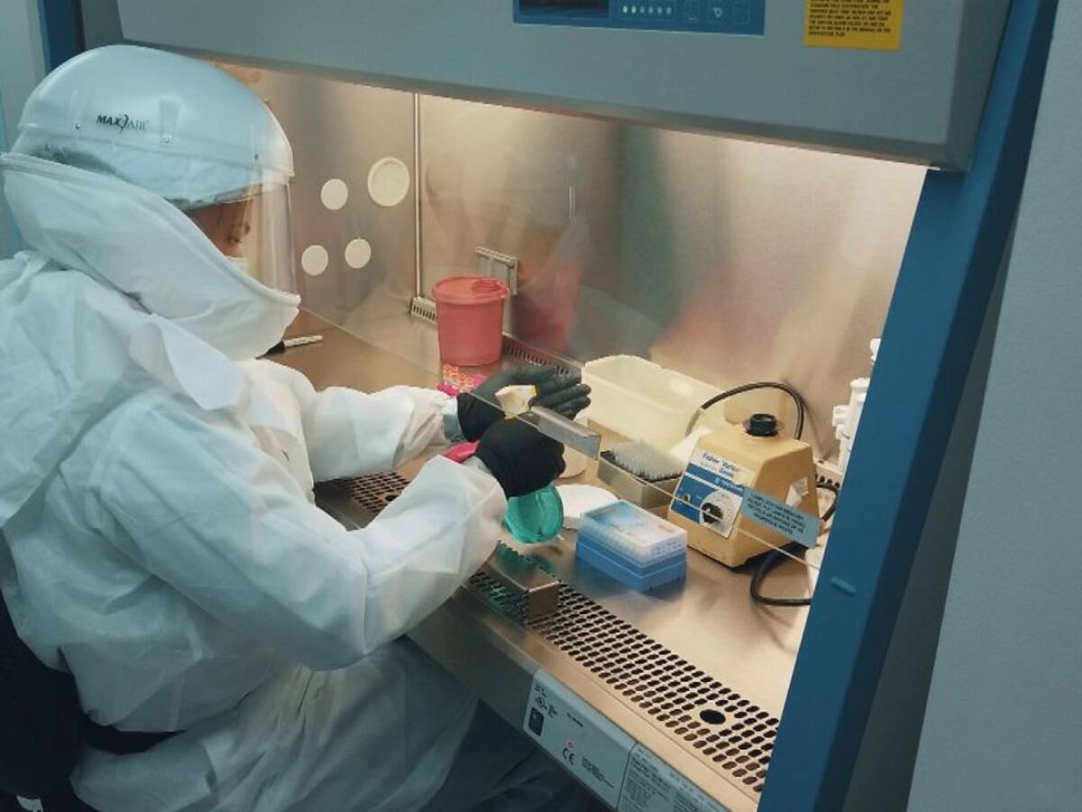 UdeA diseñó un protocolo que ayuda en la detección de COVID-19