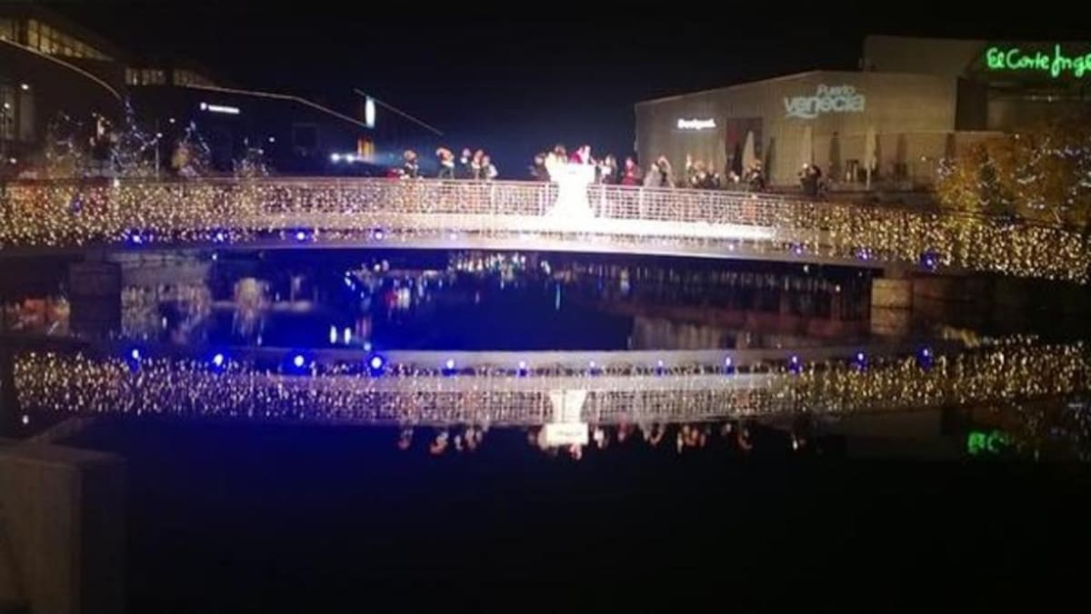 Árboles humanos, en los ríos y las ciudades más emblemáticas del mundo inundadas de luces y de la magia de la navidad. / Venecia.
