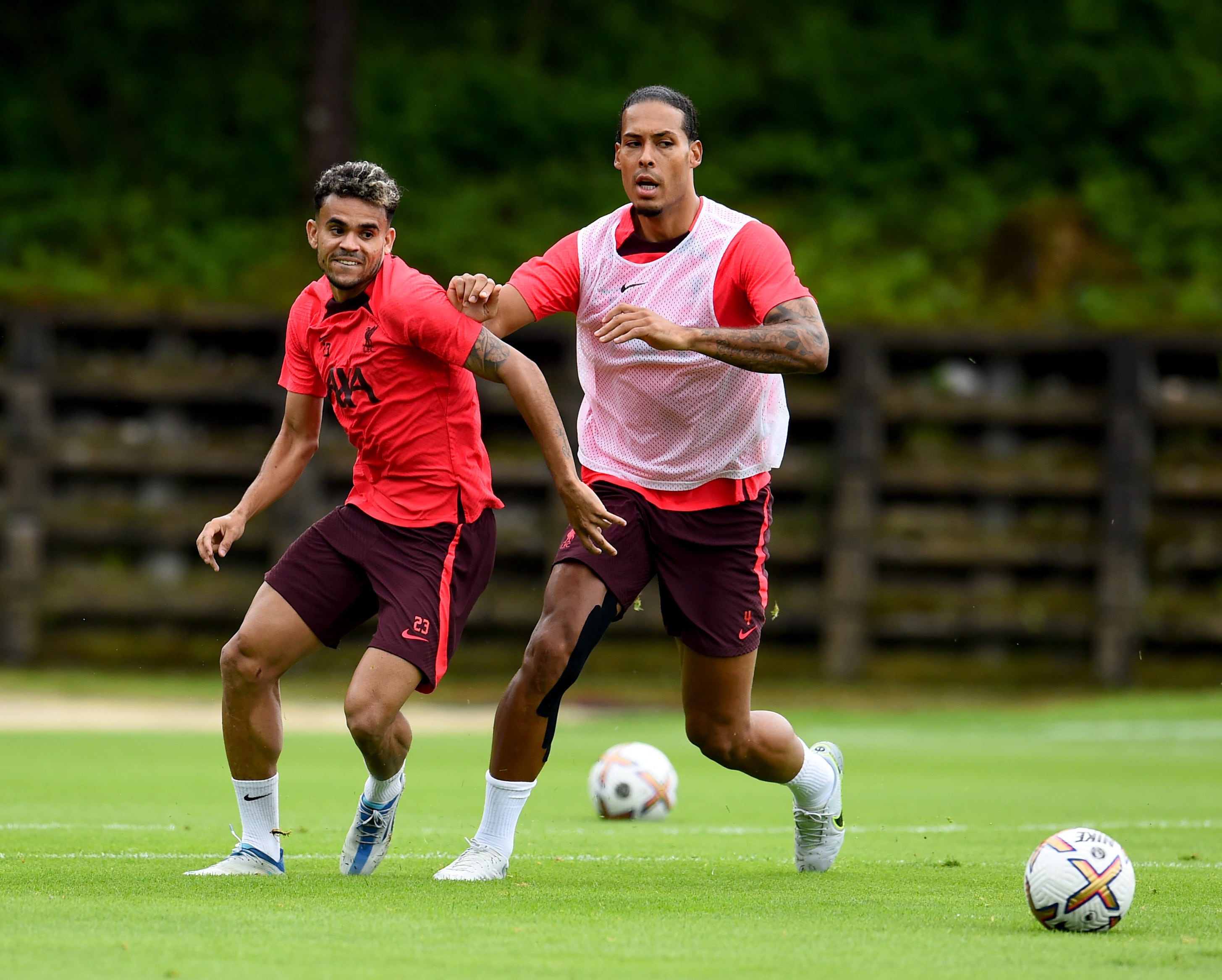 Luis Díaz recibió elogios de Virgil van Dijk.