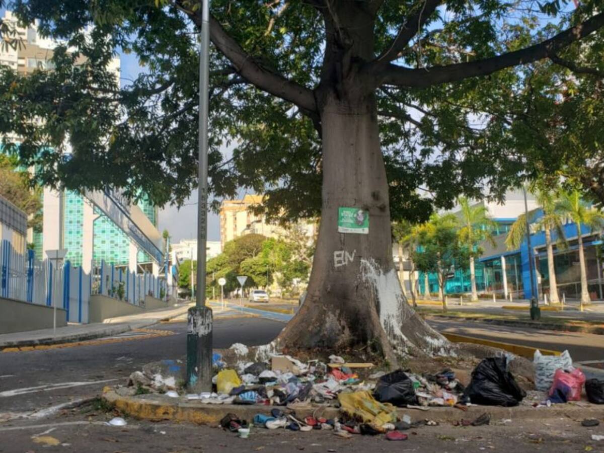 Vergüenza: Una ceiba fue convertida en basurero