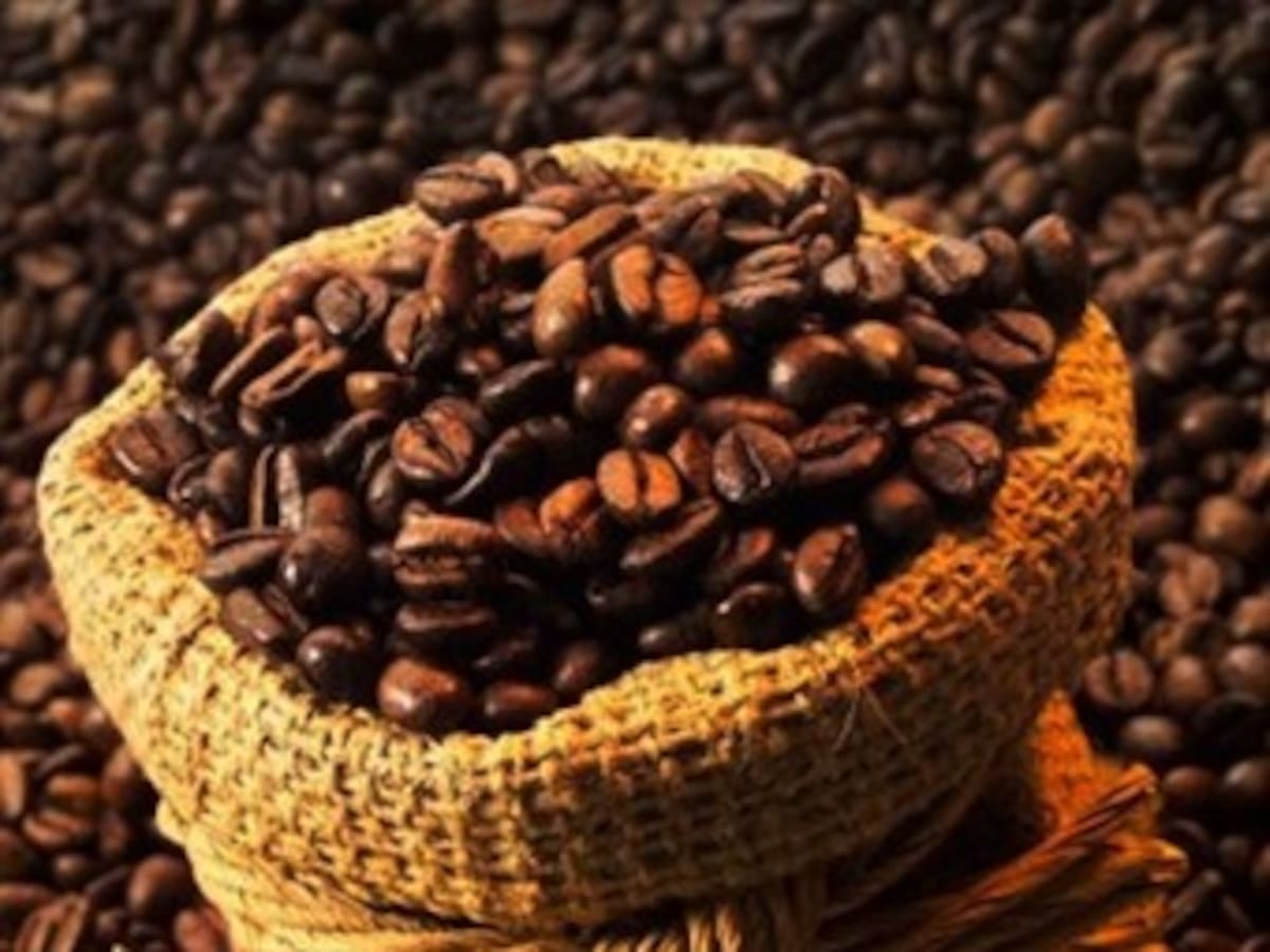 Exportaciones de café del grupo de nueve países latinoamericanos suben 8,93 %