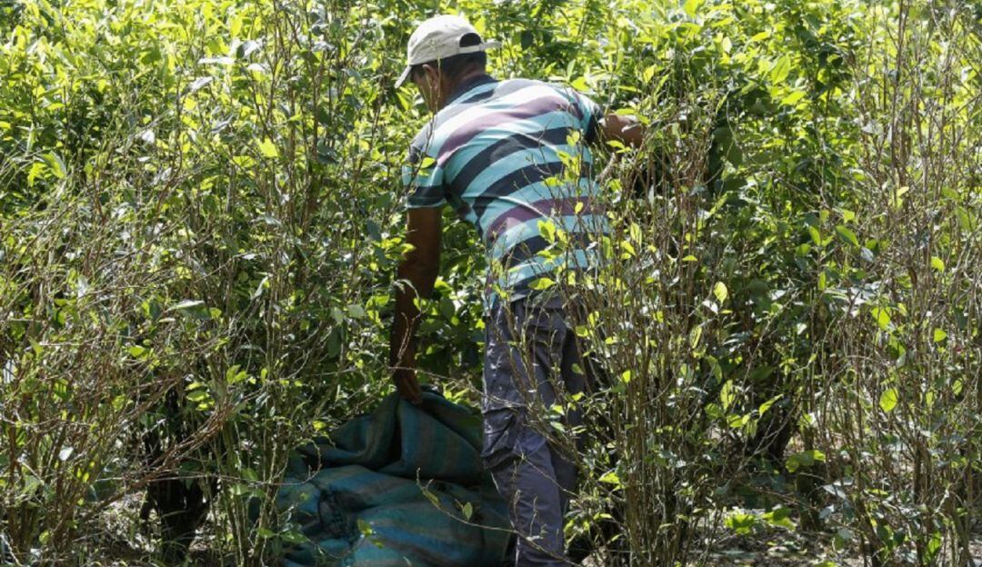 Campesinos del núcleo veredal de Caño Indio se declaran en asamblea