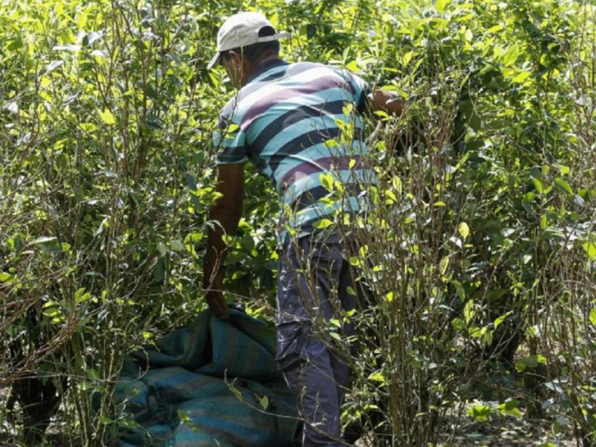 Campesinos del núcleo veredal de Caño Indio se declaran en asamblea