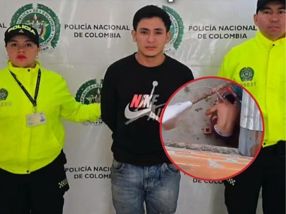 Capturado presunto responsable de muerte de Kira; la perrita sí murió tras ser brutalmente golpeada
