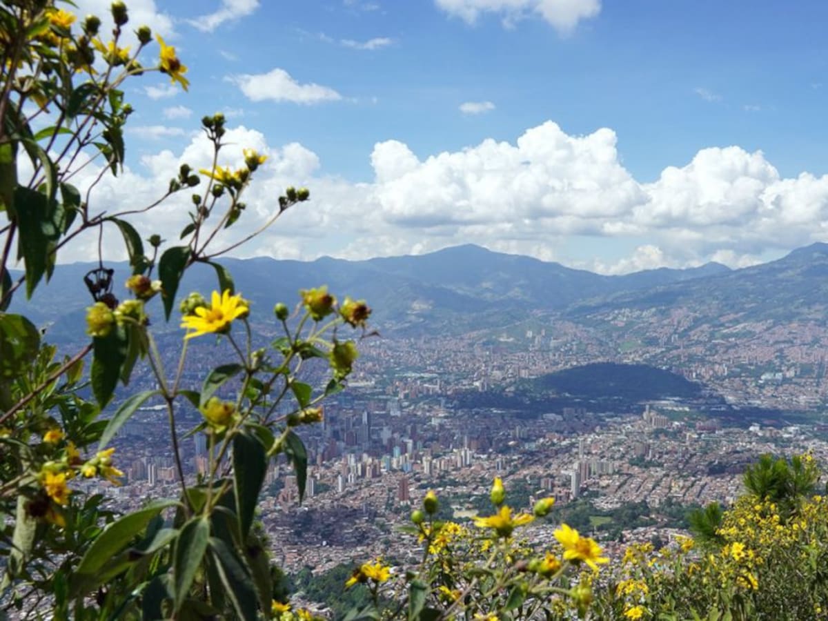 Tribunal da ultimátum a CNE por cuentas de la revocatoria en Medellín