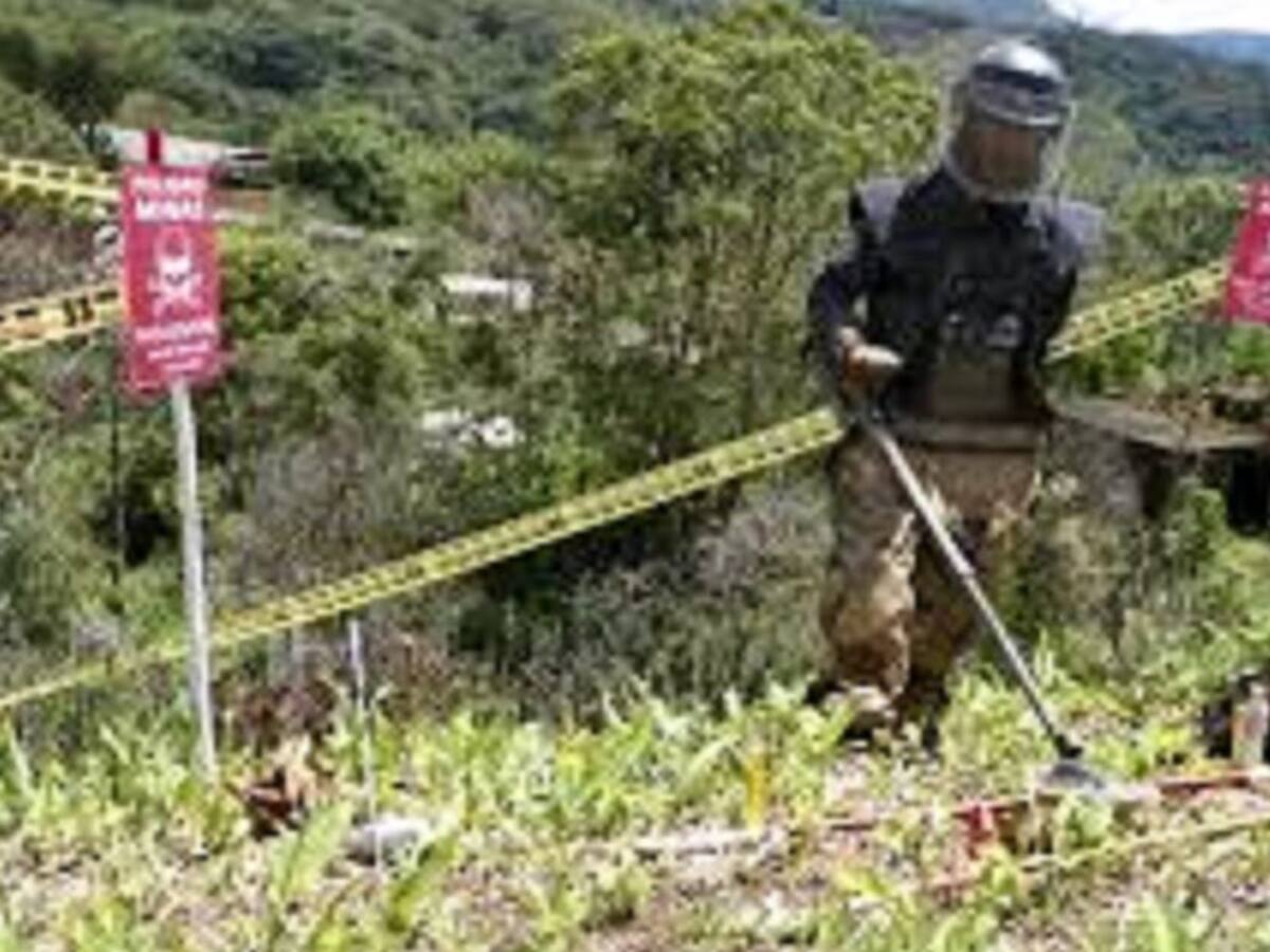 Comunidades piden desminado en el Catatumbo