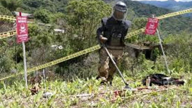 Proceso de desminado.