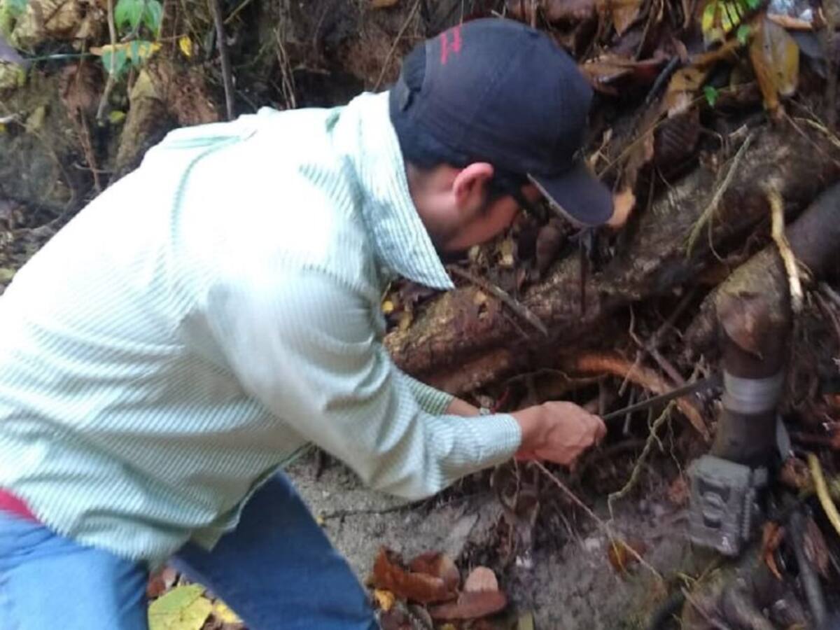 Instalan cámaras trampa en Tolima