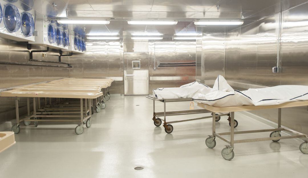 Foto Cortesía Getty Imagenes