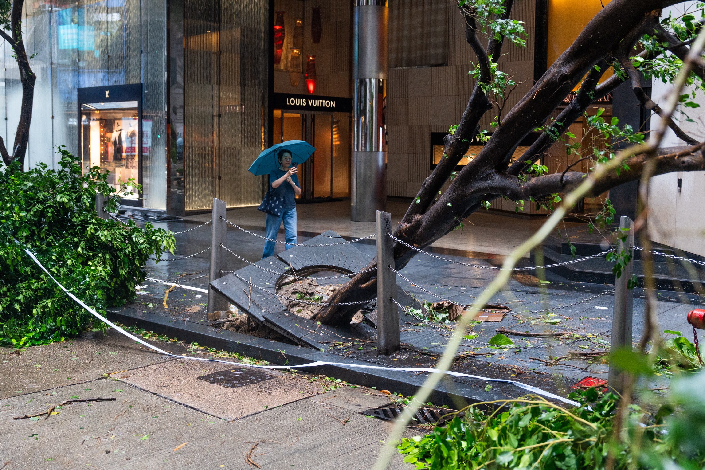 Hong Kong (China), 02/09/2023.- A woman takes a photo of trees brought down by Typhoon Saola on a road in Central, Hong Kong, China, 02 September 2023. The No. 10 typhoon warning, for the first time since 2018, was raised on the night of 01 September as Typhoon Saola swept past Hong Kong. EFE/EPA/Bertha WANG