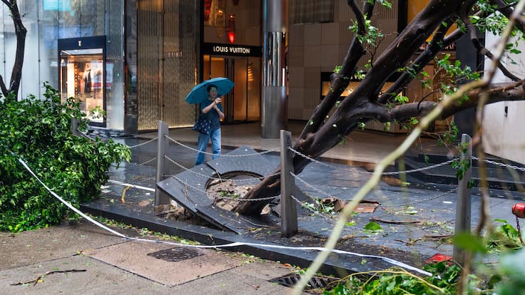 Hong Kong (China), 02/09/2023.- A woman takes a photo of trees brought down by Typhoon Saola on a road in Central, Hong Kong, China, 02 September 2023. The No. 10 typhoon warning, for the first time since 2018, was raised on the night of 01 September as Typhoon Saola swept past Hong Kong. EFE/EPA/Bertha WANG