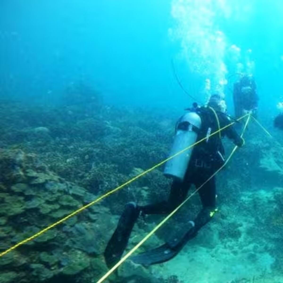 Falleció buzo cartagenero mientras realizaba su labor en La Guajira