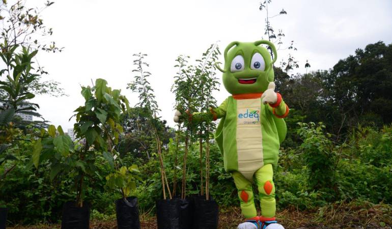 La entidad realizó una rueda de prensa para dar a conocer el informe de sostenibilidad en el año 2015