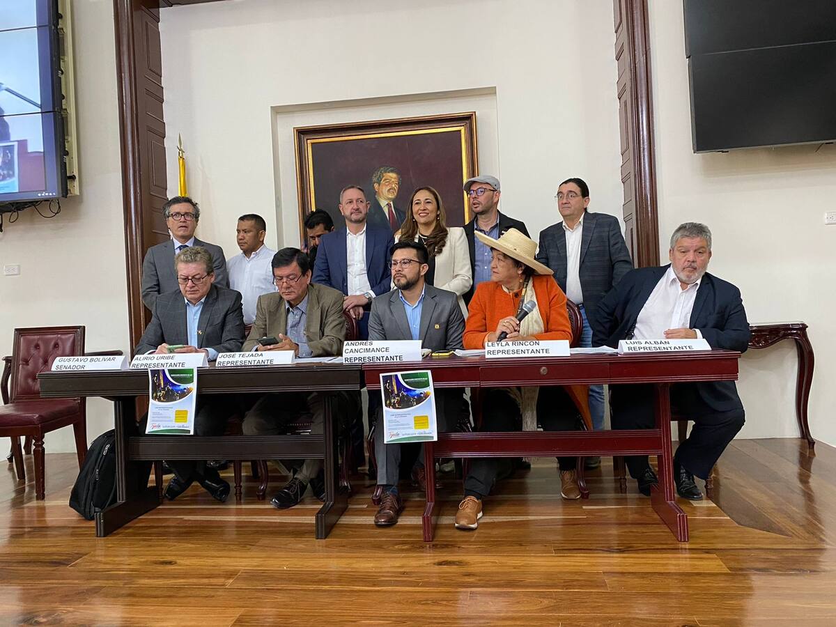 Congresistas radicaron proyecto que busca indultar capturados en manifestaciones