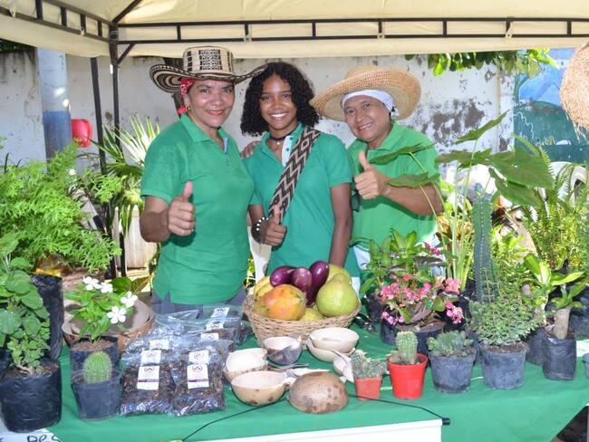 Alcaldía de Cartagena