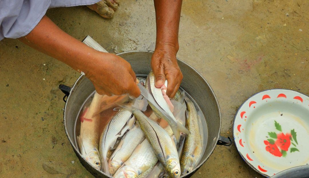 Mujer Wayuu preparando pescado en La Guajira. Imagen de referencia